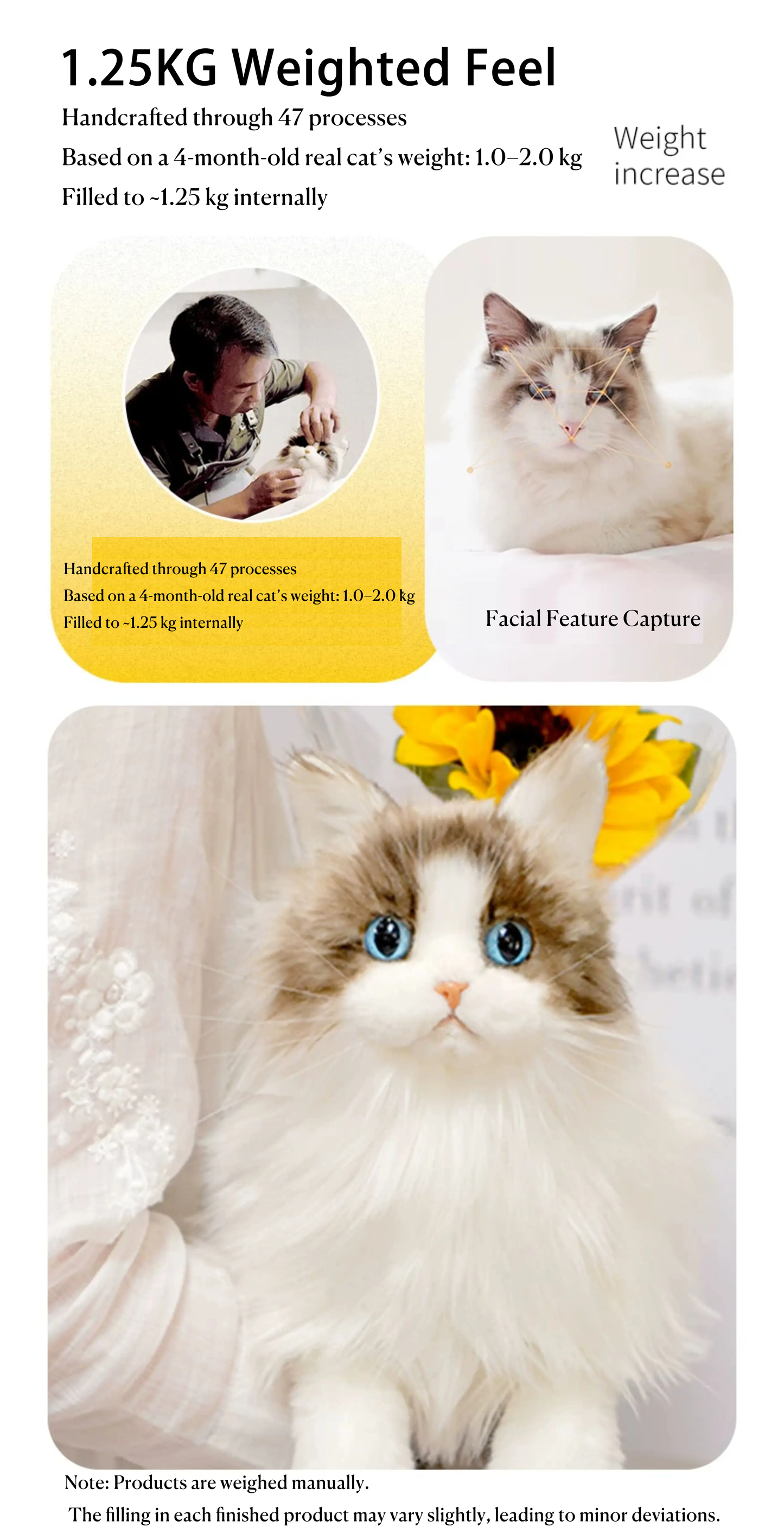 MarsWalker Realistic Ragdoll Cat Plush Toy - 1.25kg Weighted Lifelike Stuffed Animal with "Liquid Cat" Soft Feel, Starry Sky Eyes, Silicone Paw Pads & Complete Gift Box Set