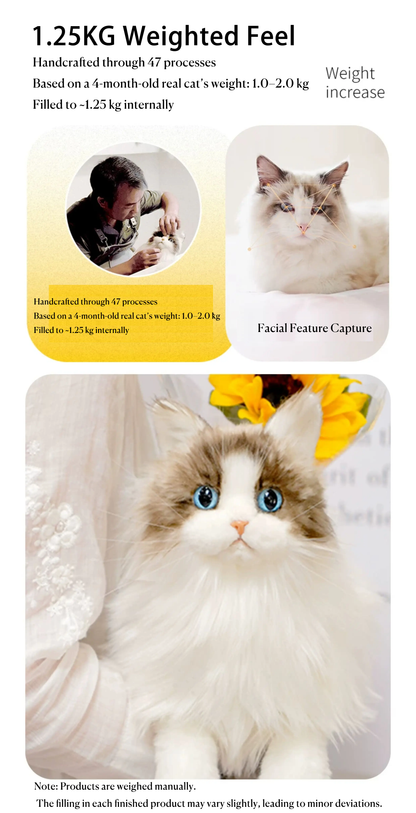 MarsWalker Realistic Ragdoll Cat Plush Toy - 1.25kg Weighted Lifelike Stuffed Animal with "Liquid Cat" Soft Feel, Starry Sky Eyes, Silicone Paw Pads &amp; Complete Gift Box Set