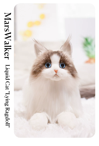 MarsWalker Realistic Ragdoll Cat Plush Toy - 1.25kg Weighted Lifelike Stuffed Animal with "Liquid Cat" Soft Feel, Starry Sky Eyes, Silicone Paw Pads &amp; Complete Gift Box Set