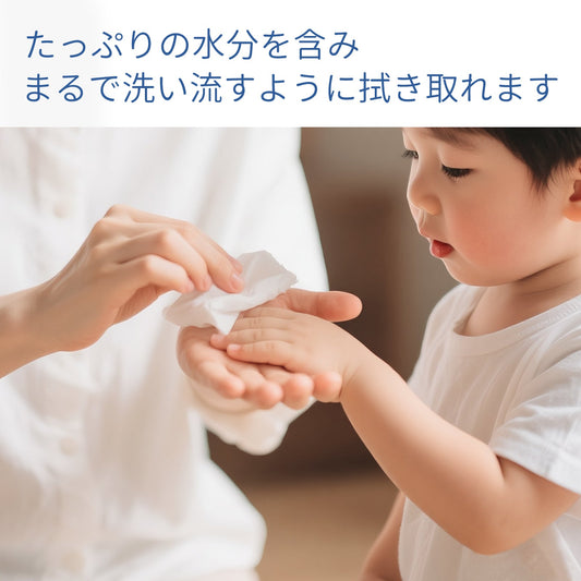 除菌ウェットティッシュ 1枚入 ノンアルコール アダルトグッズ専用 クリーナー  1枚入 Minhodo