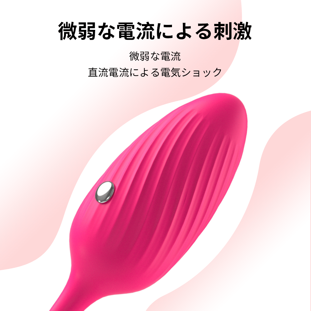 電撃バイブ 電気ショック エッグ型ローター 10種振動モード 低周波刺激 BDS 電気ショック Minhodo