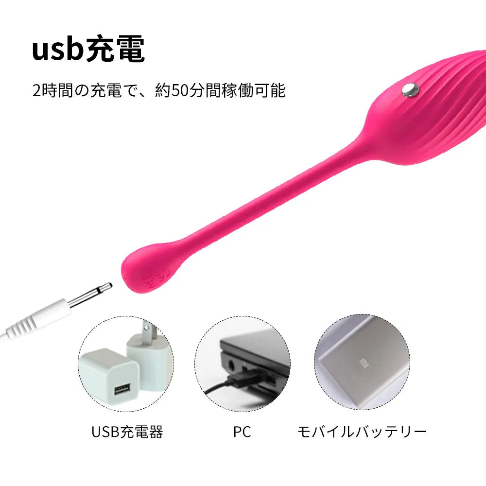 電撃バイブ 電気ショック エッグ型ローター 10種振動モード 低周波刺激 BDS 電気ショック Minhodo